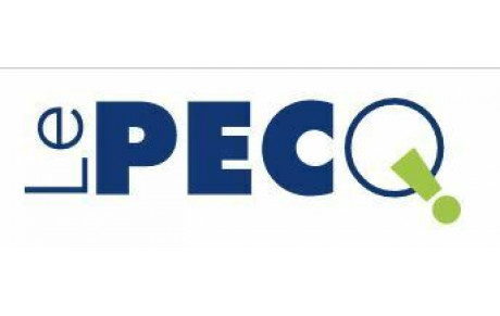 Ville Le Pecq